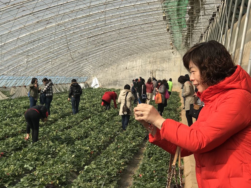 腾博会官网集团有限公司内容图片展示